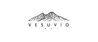 Vesuvio Ventures